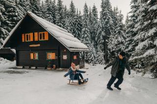 Chalet Trzinka - Triglav National Park - Goreljek - 3