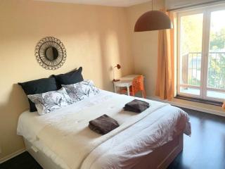 Studio calme, Grand parquet,Chateau,INSEAD - Fontainebleau - 6
