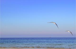 Stunning Home In Jezierzany With Sauna - 2