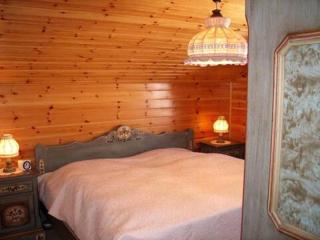 Le Grand Paradis - Away from the summer heat - Les Collons - 5