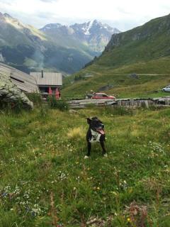 Le Grand Paradis - Away from the summer heat - Les Collons - 1