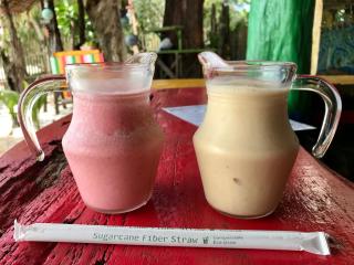 Rasta Baby Bar & Bungalows - Suitable for young travelers - 6