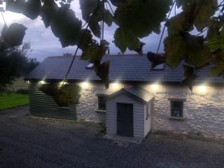 Hopesgate Cottage - Roscrea - Roscrea - 7