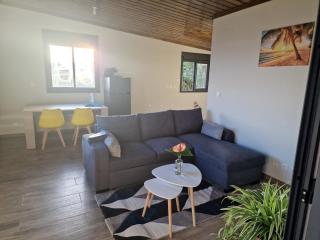 Charment Appartement avec vue sur mer - Petite Île - 8