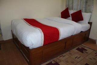 Hotel Snow Leopard - 8