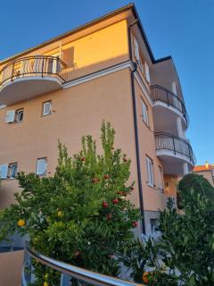 Apartments Medulin - Orijeta - Medulin - 9