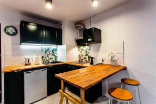 Zielony Apartament Gliwice - Gliwice - 7