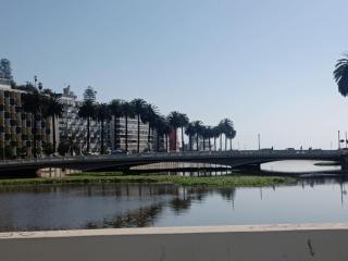 Hermoso departamento frente al casino - 8