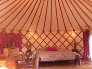 Les Yourtes d'Hôtes - 7