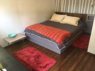 Departamento, Barrio Bellavista - Santiago - 7