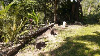 Recantinho da floresta - 9