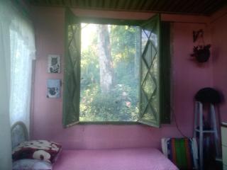 Recantinho da floresta - 6