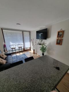 Hermoso Departamento ubicado a 1 cuadra del lago Villarrica - 1