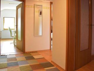 Apartment in Langdorf near Ski Trails - 4