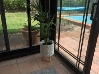 Frangipani - Sydney - 3