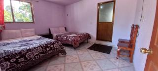 Hotel Bosques - Zacatlán - 8