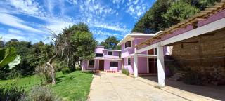 Hotel Bosques - Zacatlán - 7