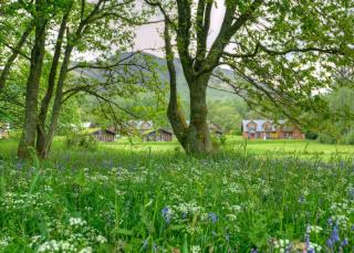 Loch Lomond Waterfront Luxury Lodges - Balmaha - 9