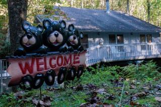 Misty Mountain Hop - Cobbly Nob Cabin with HotTub, Fast Wi-Fi, Privacy, Pool - 0