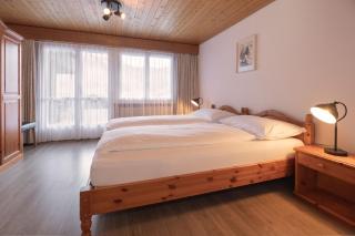 Apartment Jungfrau Lodge - Grindelwald - 1