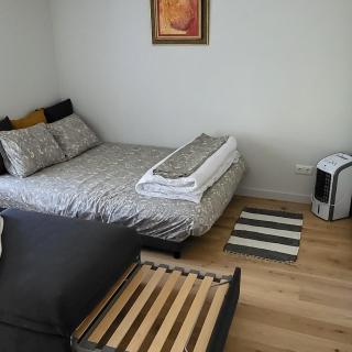 Seaside_albatross - 3