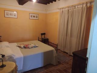 Agriturismo Paneolio - Villa Collemandina - 1
