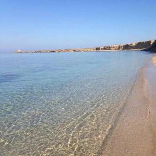 Ca&Sa Sweet Holiday - Cinisi - 8