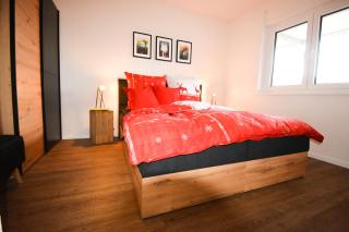 BLACKFOXREST Ferienwohnung - Feldberg - 9