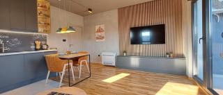 Stylish One Bedroom Apartment - Podgorica - 1
