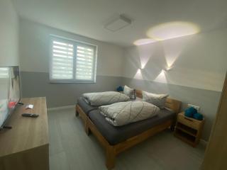 Ferienwohnung H&M Immobilien - Geiseltalsee - 1