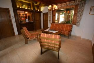 Haus Alpina by Châtel Reizen - Grossarl - 8