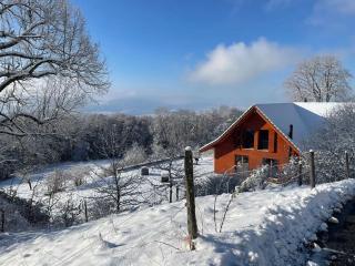 Wunderschönes Gästehaus mit grandioser Aussicht - Gempen - 5