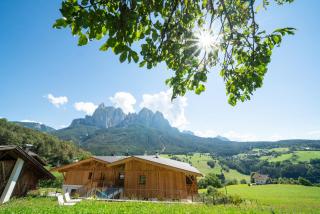 Oberzerod Apartments - Alpe di Siusi - 0
