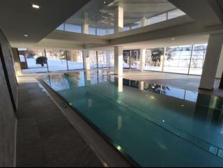 MySchluchseehome Gemütliche Ferienwohnung mit Südbalkon und Pool im Haus - Schluchsee - 8