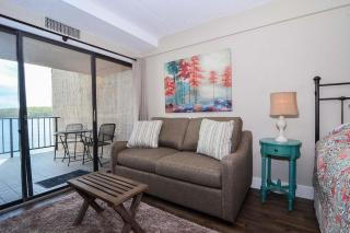 202B One Bedroom One Bath - 1