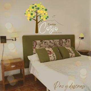 Cortijo EL COSIO - Benamaurel - 9