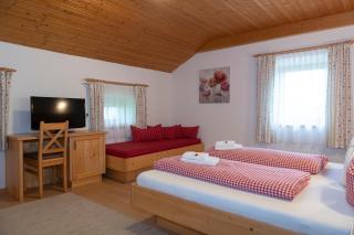 Hartlhof Urlaub am Baby- und Kinderbauernhof - Niederau - 1