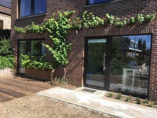 'het T-huisje' volledig ingerichte studio - 1