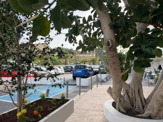Apart Hotel Ponderosa Tenerife - 9
