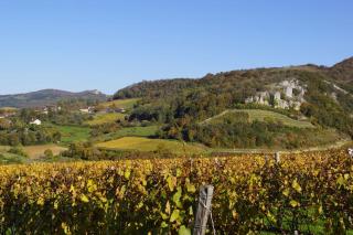 Petite longère du Clos Madeleine - Vincelles - 5