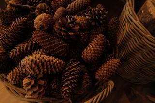 Splendide appartement style chalet classé 4 étoiles, terrasse face à la montagne - 4