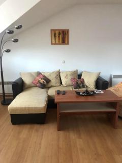 Two bedroom flat in Magernitsa - Bansko - 2