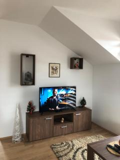 Apartman Dunja - Arandelovac - 4