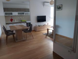 Delta Lux Apartment - Banja Luka - 5