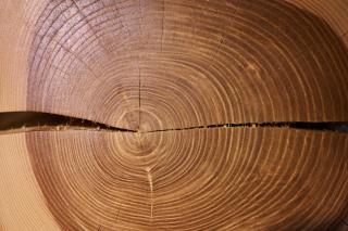 Na trati Pension - 2