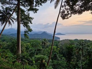 World's View Wild Camping Salaszoi, Principe Island - Santo António - 4