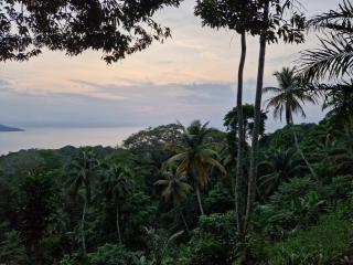 World's View Wild Camping Salaszoi, Principe Island - Santo António - 5