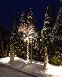 Haus Raimund " KLEIN aber FEIN " - Alpbach - 5