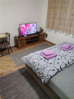 Nikolic apartment - Niš - 6