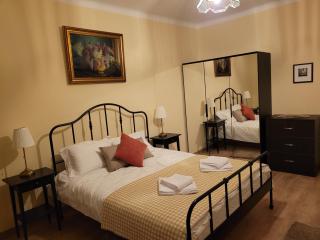 Ema's Vintage Brasov Spacious 2 BR Central Apartment with Mountain View - Brasov - 0